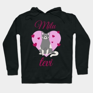 I love you Valentine's Day Gift - Latvian Hoodie